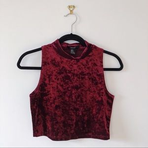 Burgundy Crushed Velvet Cropped Mock Turtleneck